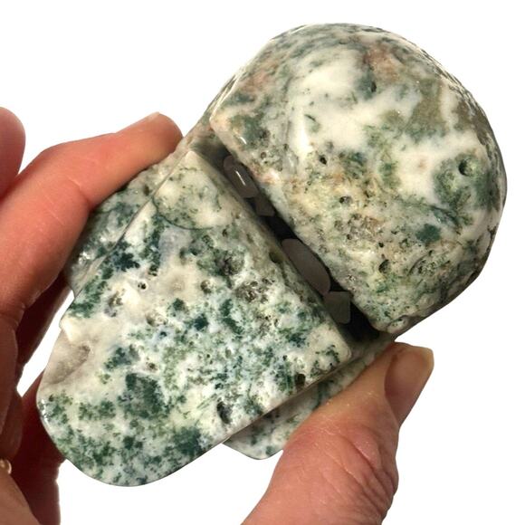 Natural Tree Agate Crystal Skull Head Carving Druzy Healing Stone Mineral - Picture 7 of 8